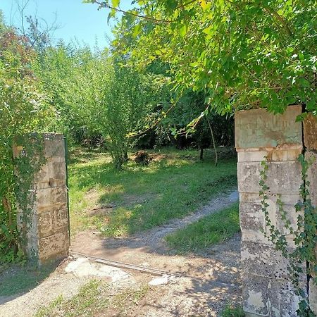 La Colline Aux Oiseaux, La Tranquillite Des Bois Villa Molieres-sur-Ceze Екстериор снимка