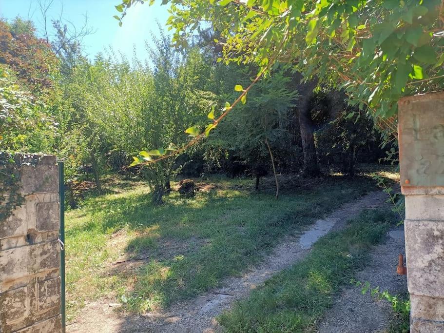 La Colline Aux Oiseaux, La Tranquillite Des Bois Villa Molieres-sur-Ceze Екстериор снимка