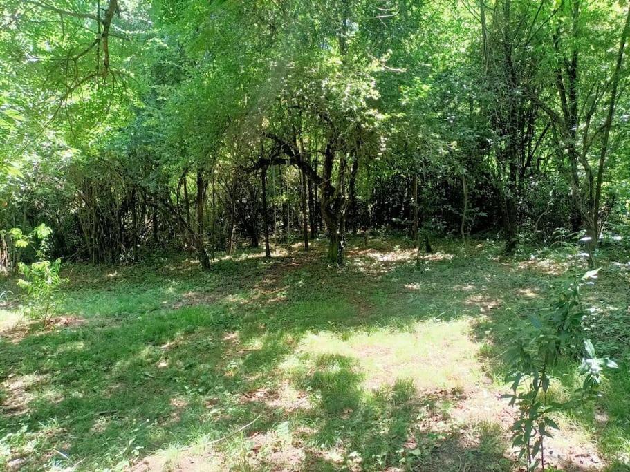 La Colline Aux Oiseaux, La Tranquillite Des Bois Villa Molieres-sur-Ceze Екстериор снимка